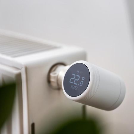 Edler Wohnraum Schwanenteich-Suite Mit Balkon, Kaffeevollautomat, Lift & Parkplatz Zwickau Ngoại thất bức ảnh