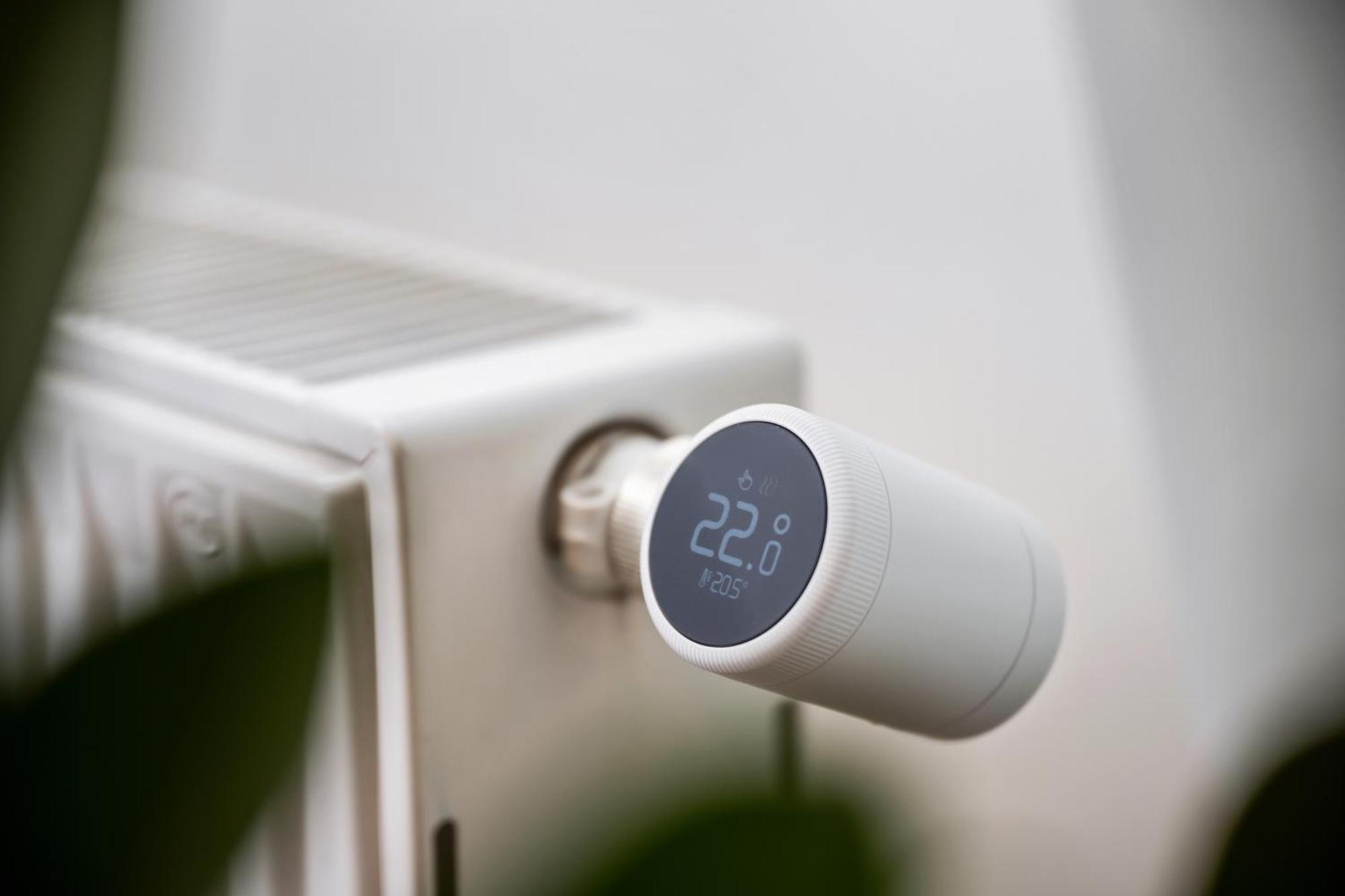 Edler Wohnraum Schwanenteich-Suite Mit Balkon, Kaffeevollautomat, Lift & Parkplatz Zwickau Ngoại thất bức ảnh
